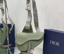 디올 DIOR Saddle Bag 새들 백