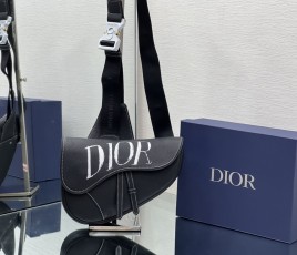 디올 DIOR Saddle Bag 새들 백